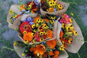 Autumn Berries & Blooms